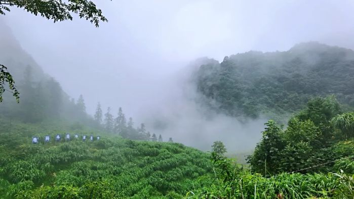 &#24320;&#20113;&#40;&#20013;&#22269;&#41;&#75;&#97;&#105;&#121;&#117;&#110;
