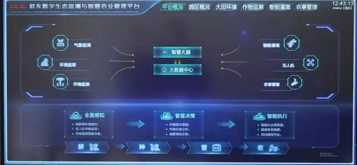 &#24320;&#20113;&#40;&#20013;&#22269;&#41;&#75;&#97;&#105;&#121;&#117;&#110;